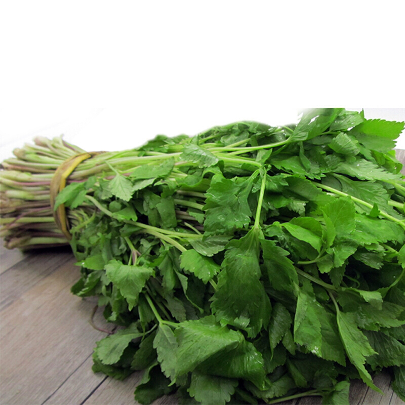 【xj】东北 新鲜速冻山野菜大叶芹 山芹菜 长白山 芹菜 新鲜蔬菜 可开