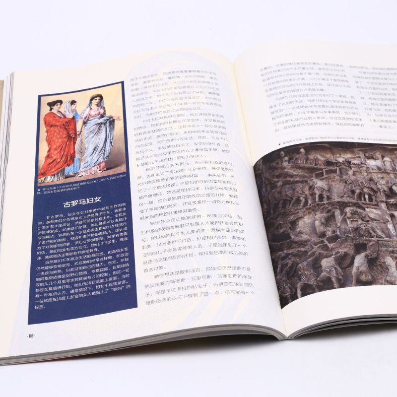 [正版]书店 图说罗马人的故事 萤火虫全球史36 (英)珍·尼尔 世界历史知识普及读物高清大图