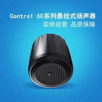 JBL CONTROL 65P/T悬挂吊球吸顶音箱餐厅咖啡厅吊挂喇叭扬声器