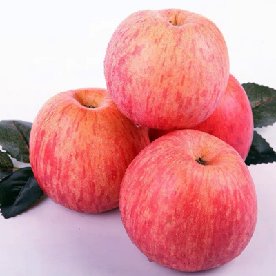 陕西洛川苹果红富士 5斤小果尝鲜款带箱 新鲜时令水果 健康轻食 可带皮吃脆甜