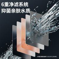 长虹 (CHANGHONG) 燃气热水器JSQ25-13VZ1家用13升强排式恒温天然气热水器