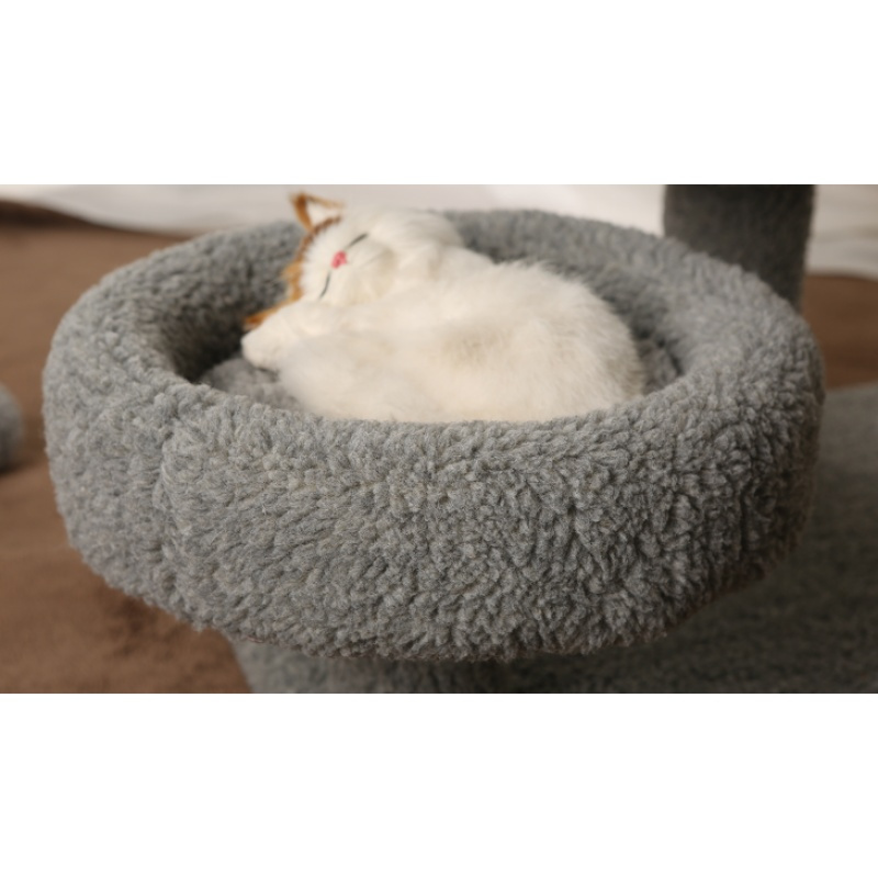 当天货全国多省猫爬架猫抓板猫树猫用品宠物玩具猫爬架猫窝（请先与客服确认再）