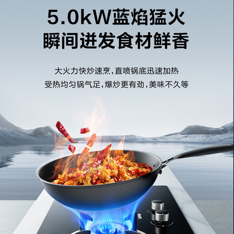 苏泊尔(SUPOR)燃气灶JZY-Z-MB11S液化气5.0KW大火力家用厨房煤气灶双灶家用嵌入式炉灶具高清大图