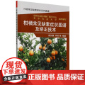 柑橘常见缺素症状图谱及矫正技术 柑橘栽培种植技术书籍 矫正施肥技术 柑橘树缺元素表现症状及处理方法施肥管理常见肥料