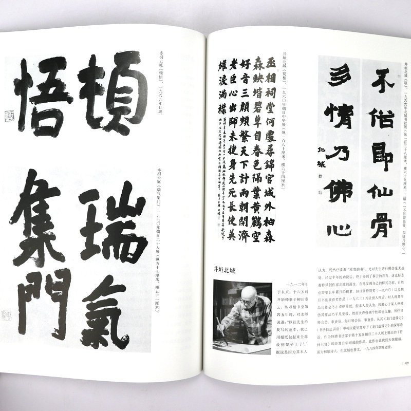 [正版]二玄社书法讲座:楷书 日本书法家西川宁编写 收录中日两国历代大家的书法名作书法技术理论书籍