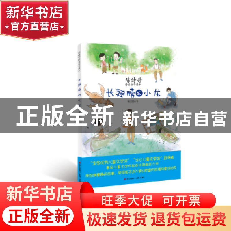 正版 长翅膀的小龙 陈诗哥著 海天出版社 9787550722095 书籍高清大图