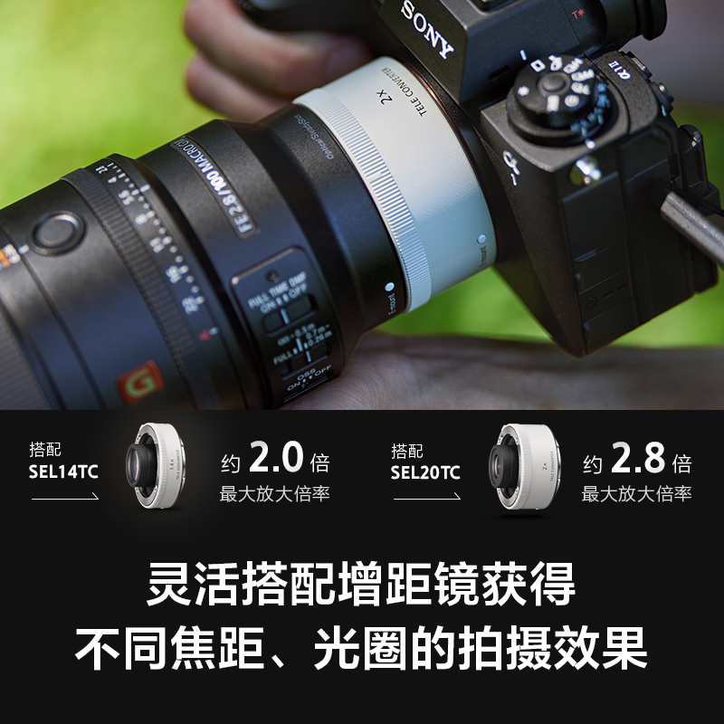 索尼全画幅微距镜头SEL100M28GM光学防抖11片光圈叶片专业微距特写人物摄影微单镜头高清大图