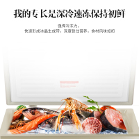 澳柯玛182升风冷无霜冰柜冷藏冷冻保鲜柜商用家用小型低温冷柜电脑控温 玻璃面板BC/BD-182WDG