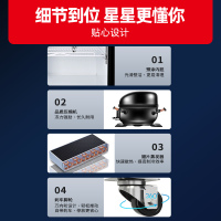 星星(XINGX) 507升 双门冷藏展示柜商用风冷多门立式冷藏柜 啤酒柜饮料柜陈列柜酒吧酒柜LSC-510PWD