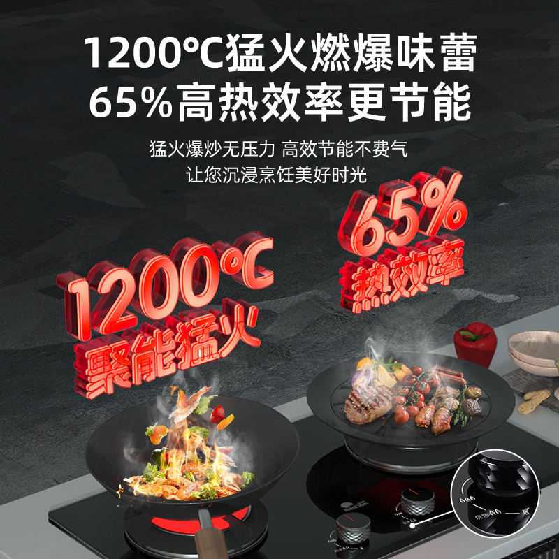 红日(RedSun)红外线燃气灶双灶双眼灶家用定时灶具厚面板换装免改孔烧烤炒菜两用台嵌灶JZT-EX16B(天然气)