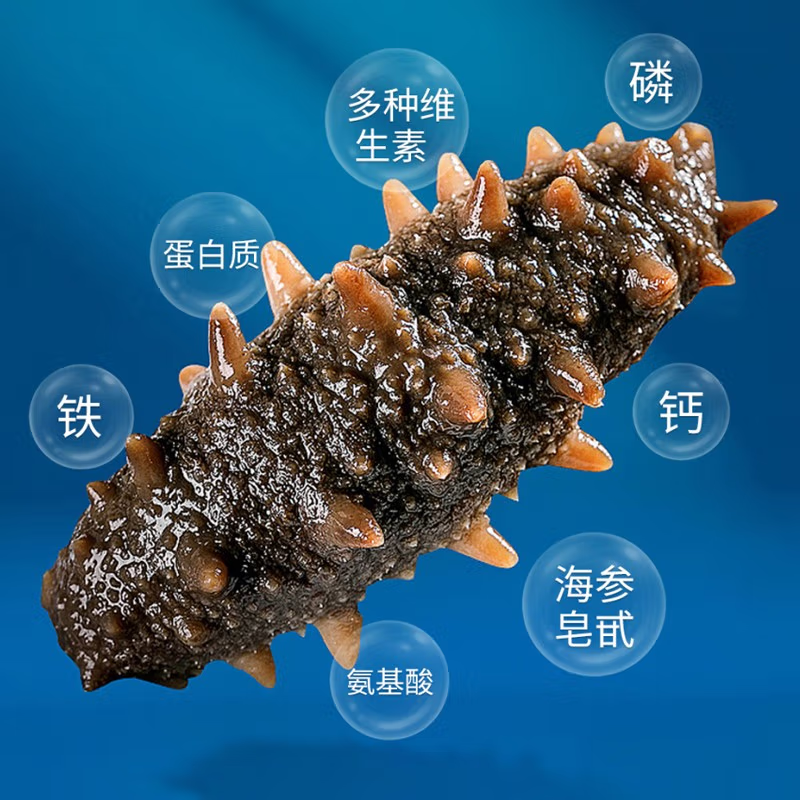 星龙港无冰即食海参——海之精华1000g/盒