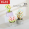 真智力佳奇花束迷你多肉仿真绿植盆栽女孩拼插积木摆件玩具生日礼物 套餐3 期望3款仿真食物