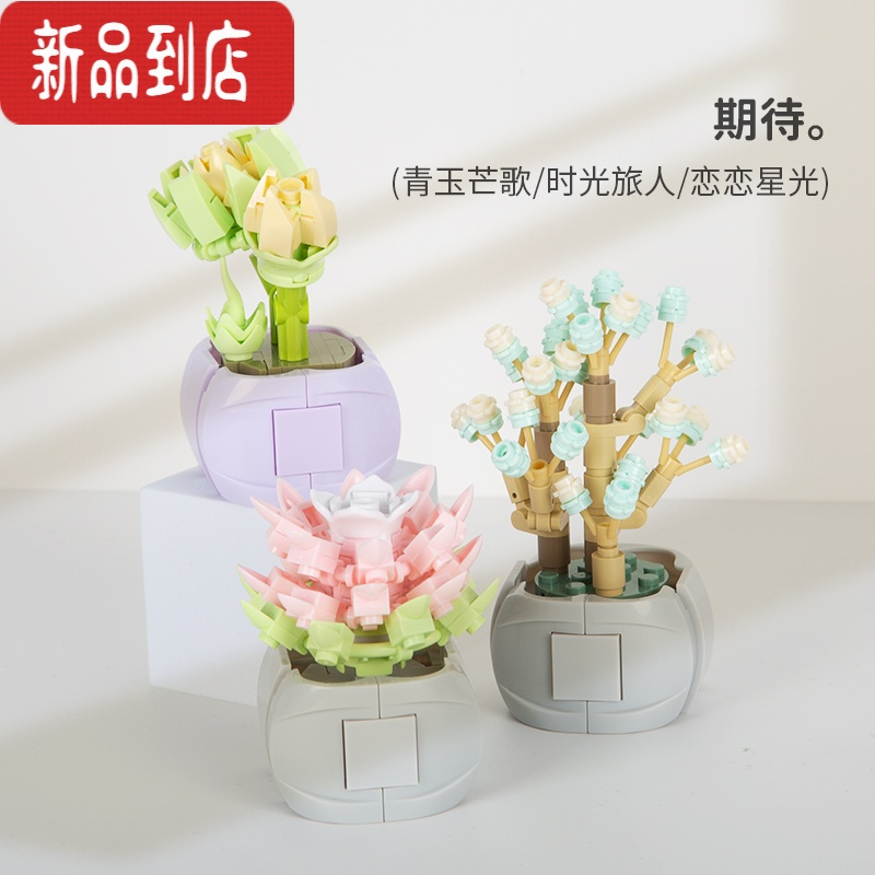 真智力佳奇花束迷你多肉仿真绿植盆栽女孩拼插积木摆件玩具生日礼物 套餐3 期望3款仿真食物