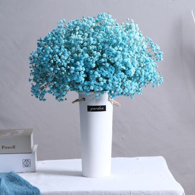 蓝色满天星 40公分12支花量多