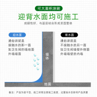 三棵树 防水补漏堵漏王 速凝型堵漏王2KG 低温环境用(单位:包)