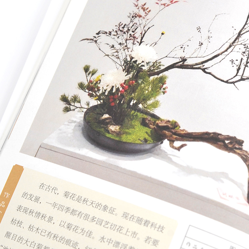 [正版]禅花与节气节日 插花艺术与格律诗词结合的中国传统插花二十四节气岁时文化 禅艺插花生活指导 中式传统插花艺创作欣赏高清大图