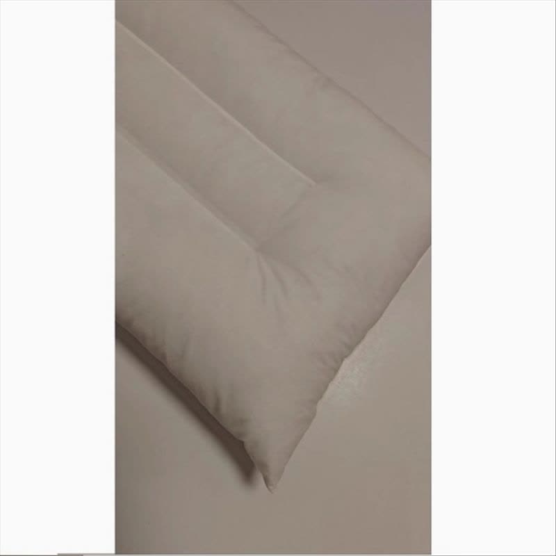 点时诚鑫枕芯YZT024/个图片