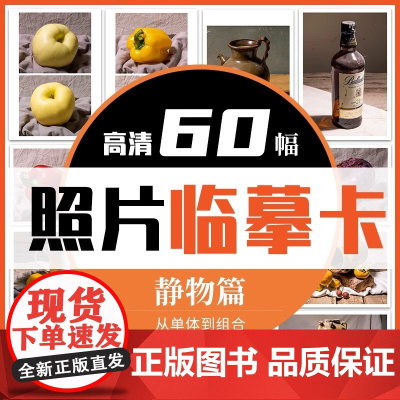 临摹卡静物照片 美术绘画写生参考素材图片美术培训教学60幅唯美文艺小清新精美卡片创意礼物原创作品学习卡片 一线美誉
