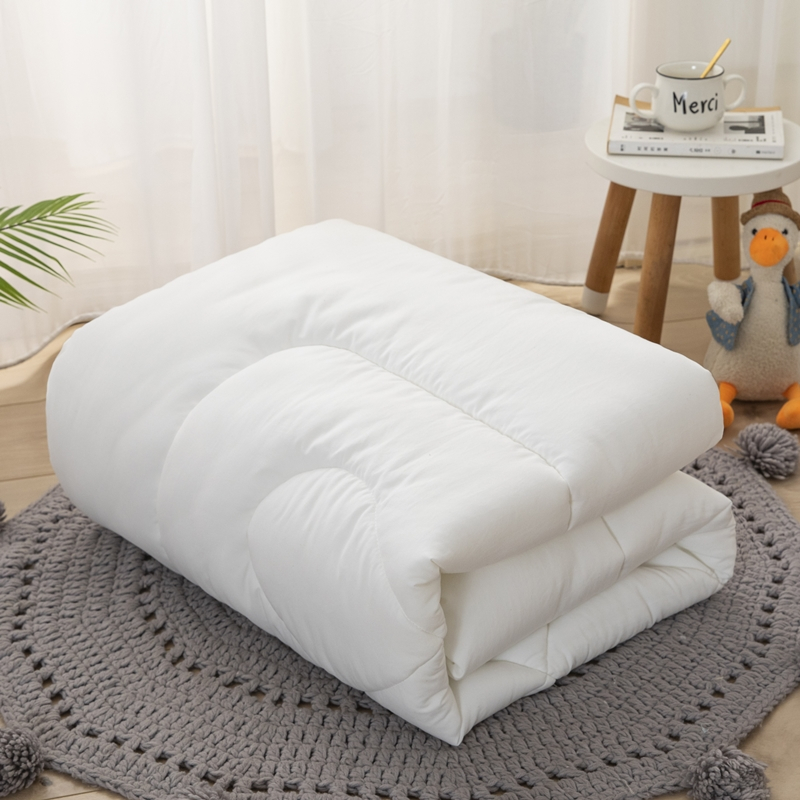 婴儿小被子内胆幼儿园儿童床被芯棉花被胆床褥子内芯垫芯四季通用 羽