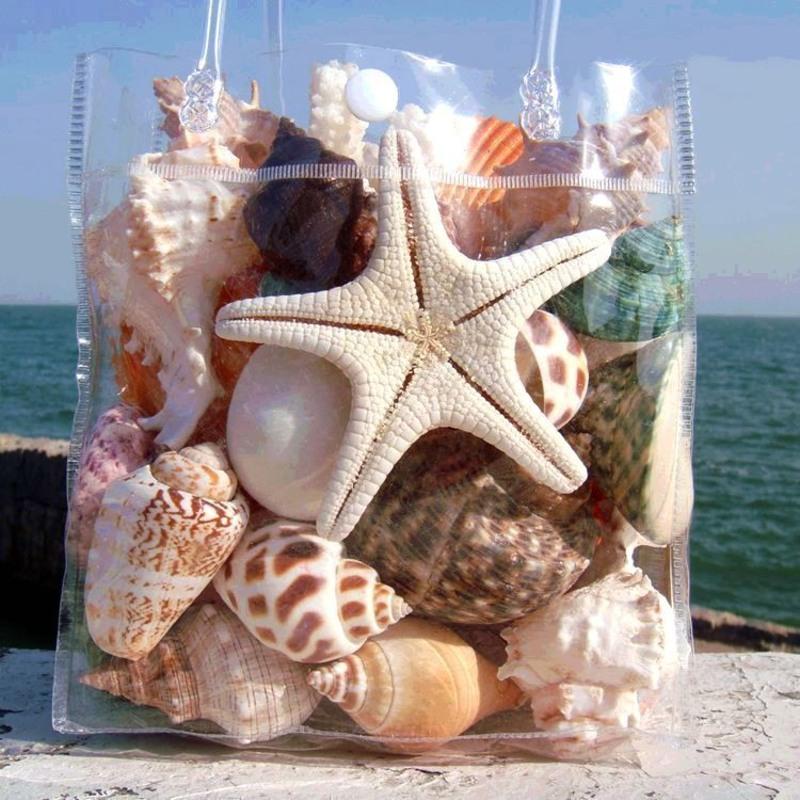 天然贝壳海螺海星珊瑚枝套装海洋生物标本螺鱼缸水族摆件用品 天然海螺贝壳海星套餐