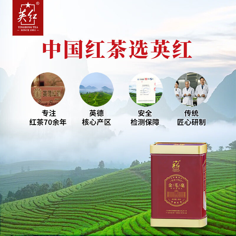 英红 英红九号 英德红茶(金毛毫) 浓香型 50g*1罐(单位:罐)高清大图