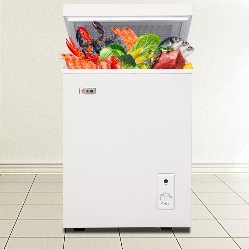 志高chigo小冰柜家用小型冷藏保鲜冷冻卧式冷柜冷冻柜两用单温小冰箱