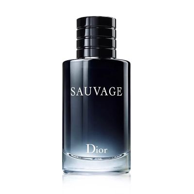 迪奥（Dior）男士香水桀骜 旷野狂野 旷野男士淡香水EDT100ml
