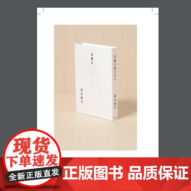 装订道场:28位设计师的《我是猫》 [日]Graphic社编辑部著 何金凤 译 另著《小阳台变身梦想花园》高清大图