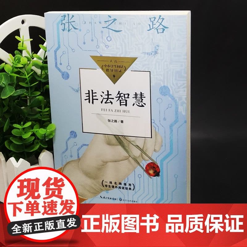非法智慧豆蔻镇书系张之路非常神秘系列长江文艺出版社少儿科幻小说故事书6-12岁四五六年级中小学生课外阅读书籍图片