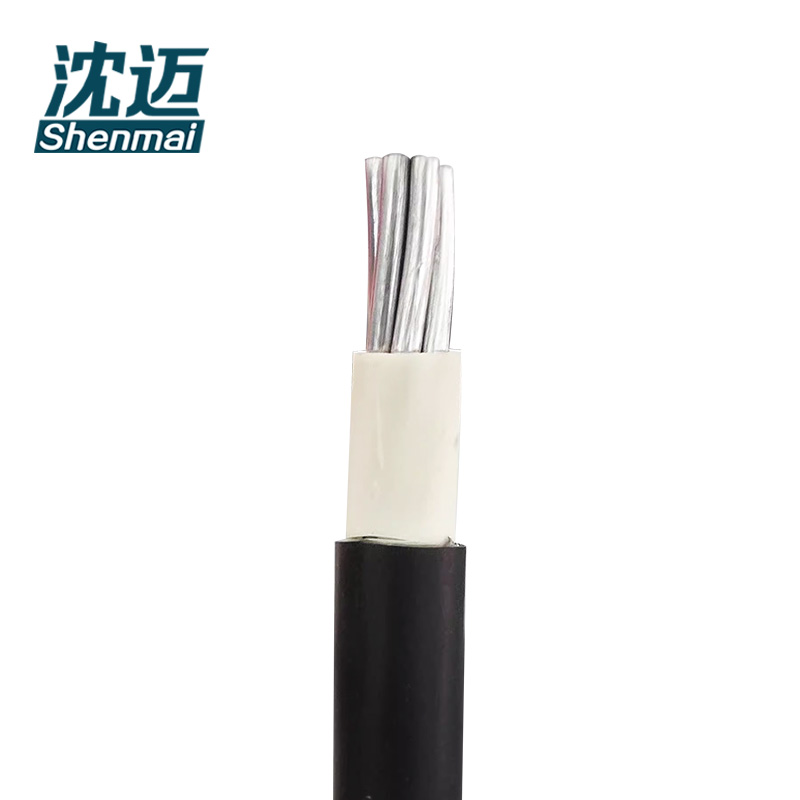沈迈 铝芯电缆 BLXY-1*95平方毫米 /米高清大图