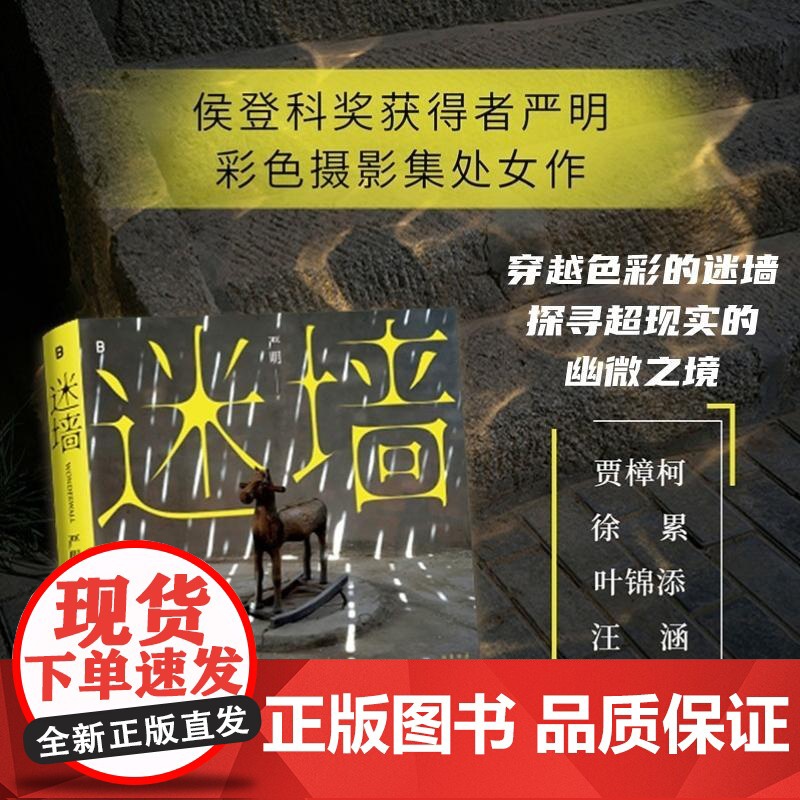 迷墙 严明 著 摄影艺术 侯登科奖得主严明摄影作品集 对生活艺术与自我认知的持续对话 正版图书籍 广西师范大学出版社高清大图