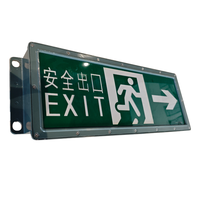 磐达 隧道出口灯D-BZ-BDI(E1IIR)-6W 个高清大图