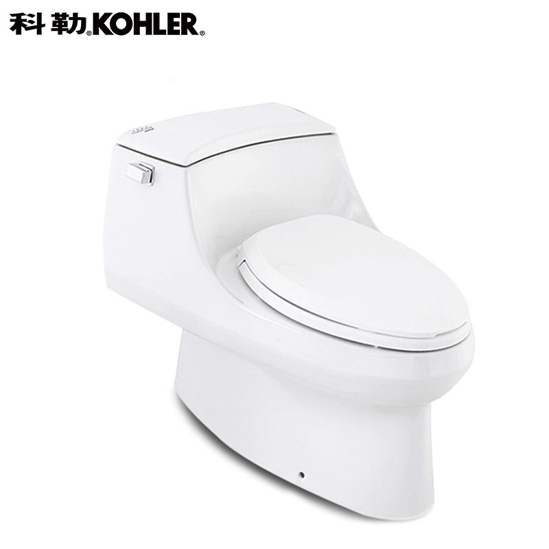 科勒KOHLER马桶 连体座便器坐便器 圣拉菲尔五级旋风节水型5483智能盖板4107套装