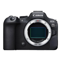 佳能(Canon)EOS R6 Mark II R6二代 新标准全画幅微单数码相机 单机身 (约40张每秒连拍/6K超采样4K短片)R6 2代 海外版
