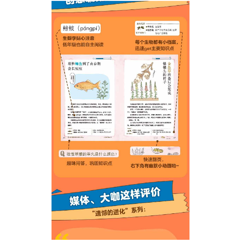 正版新书]更遗憾的进化(1-3)(日)今泉忠明 编,(日)下间文惠高清大图