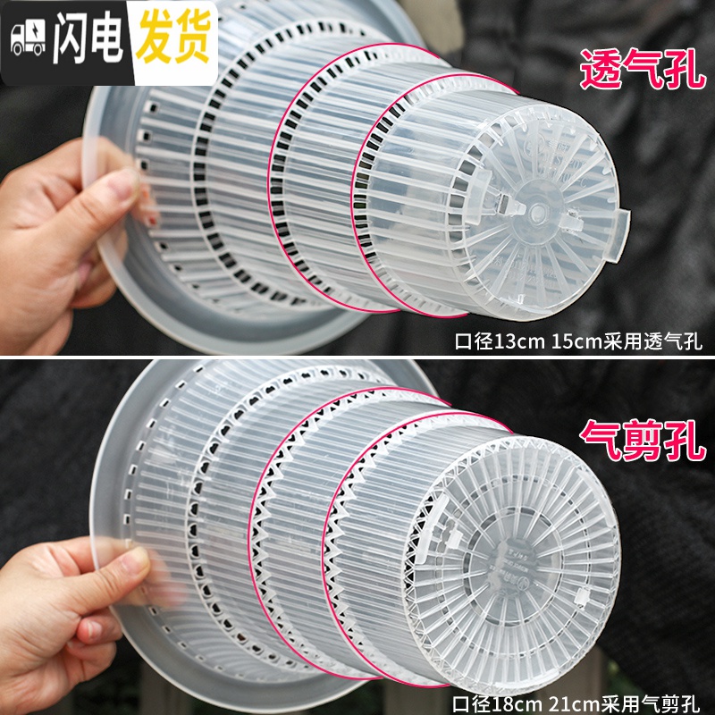 三维工匠透明兰花专用盆高透气双层控根塑料超紫砂陶瓷沥水罩兰花盆 口径13cm黑色兰花内盆[透气孔] 中等花盆容器高清大图