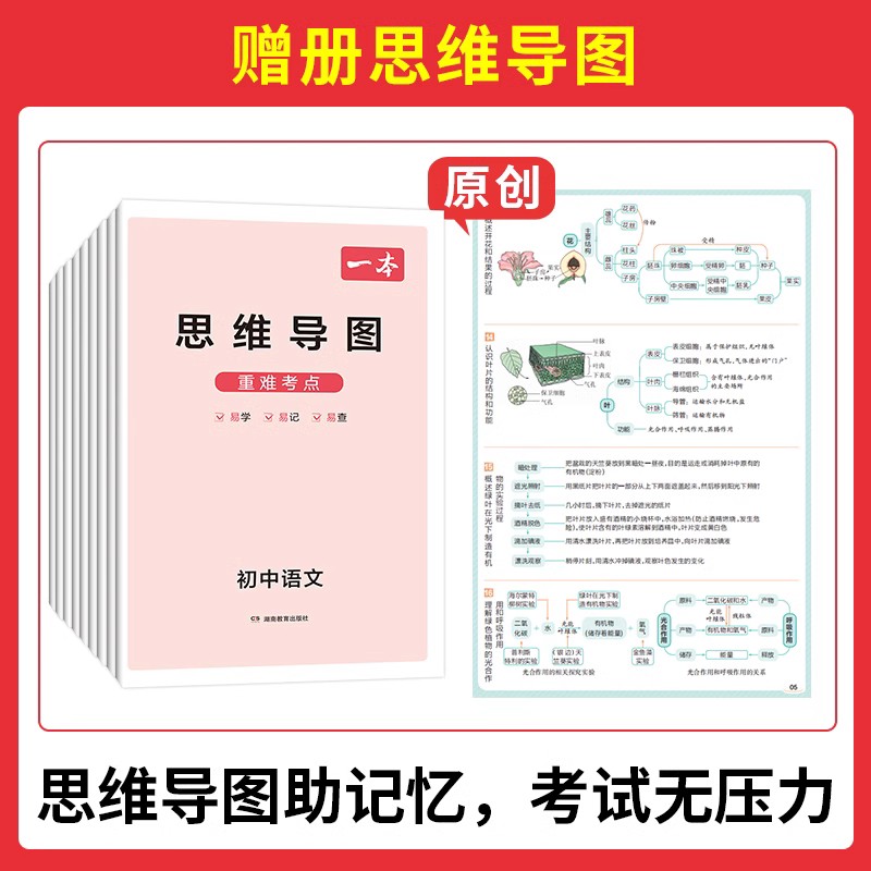 [全套9本]语数英物化生政史地 初中通用 [正版]2024新初中小四门基础知识大盘点政治历史地理生物语文数学英语物理化学高清大图