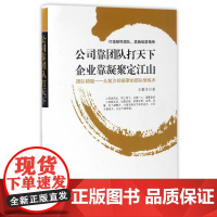 公司靠团队打天下 企业靠凝聚定江山 : 打造狼性 团队，筑就蚁群精神 王鹏华 研究出版社 正版书定