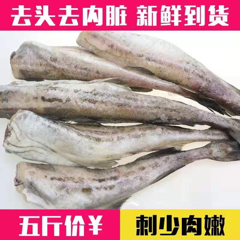 【顺丰】无头鱼新鲜冷冻鳕鱼银狭鳕鱼明太鱼新鲜海鲜 半斤