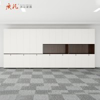 质凡定制文件柜储物柜 550*600*850mm