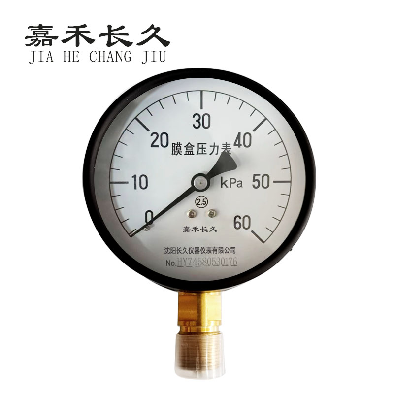 嘉禾长久+膜盒压力表检测定制型+YE100+块 0-60Kpa
