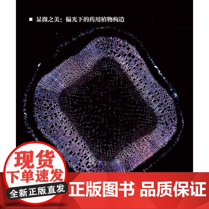 [店]药用植物显微图鉴高清大图