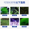 鱼缸除苔剂水质清澈剂观赏鱼净化液体除苔剂非药水净水剂