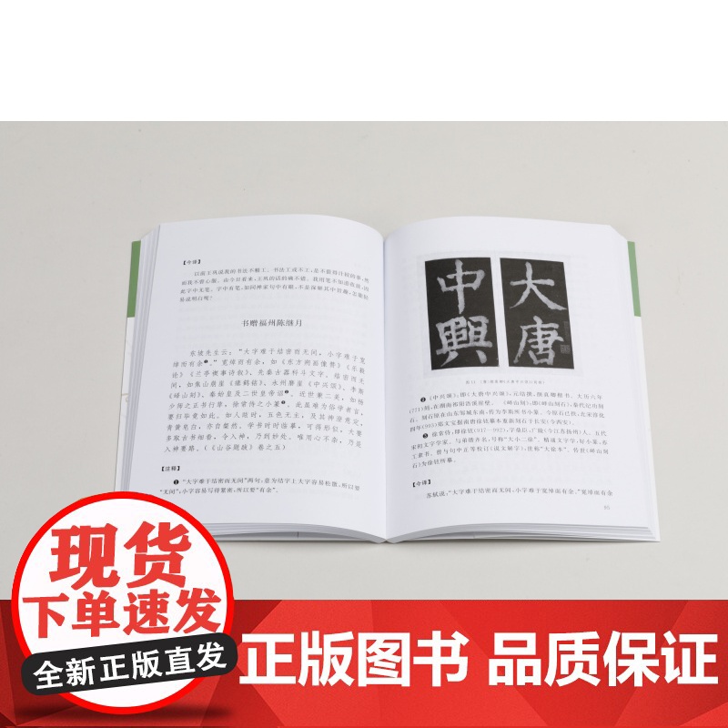 山谷书画论译注 历代书画名著译注丛书 书法艺术理论 黄庭坚撰 徐新韵译 上海书画出版社高清大图
