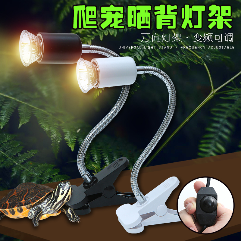 小乌龟晒背灯补钙三合一加热取暖全光谱太阳灯泡爬宠龟用背照灯架高清大图