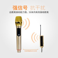 山水(SANSUI) M21无线话筒家用唱歌K歌舞台演出会议专业动圈唱歌U段户外充电麦克风
