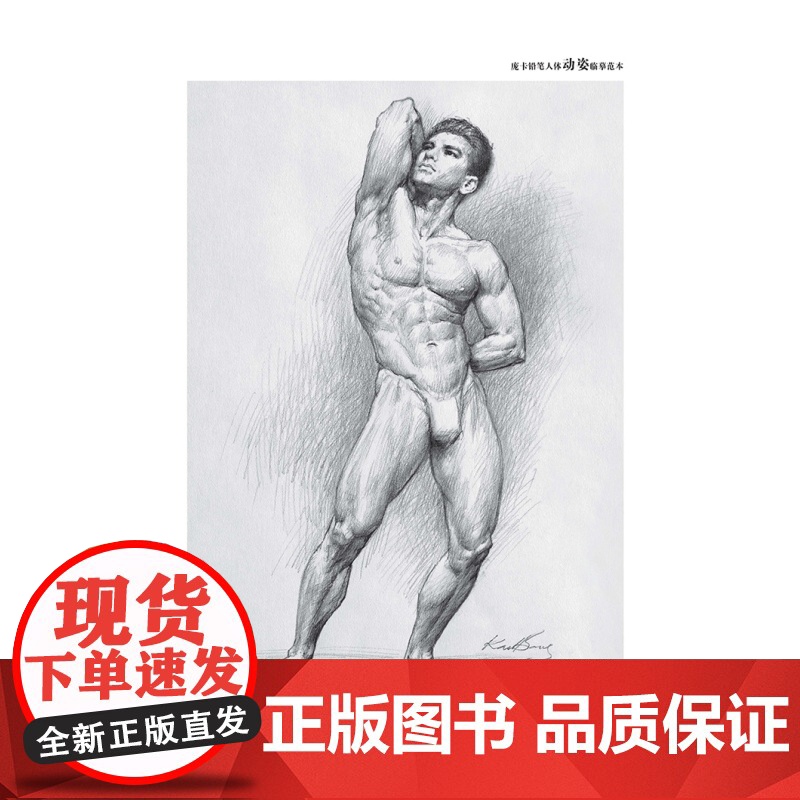 庞卡铅笔人体动姿临摹范本 人体画绘画爱好者艺术生工具书 上海人民美术出版社高清大图
