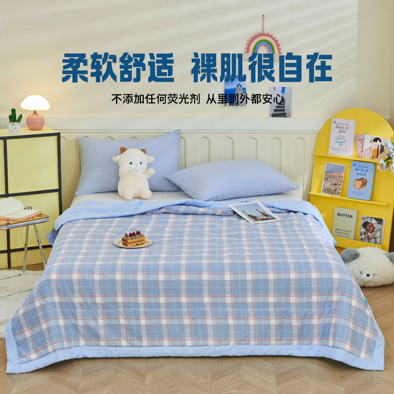 罗曼罗兰(ROMROL)春夏新款夏被 大豆水洗夏被 夏日清风 150*200CM