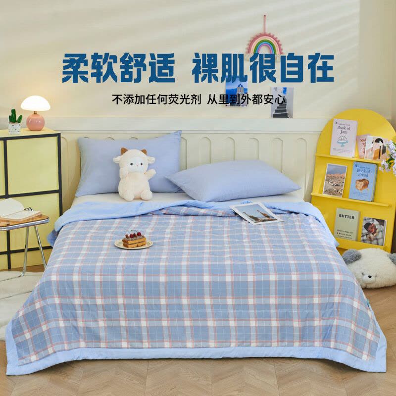 罗曼罗兰(ROMROL)春夏新款夏被 大豆水洗夏被 夏日清风 150*200CM图片