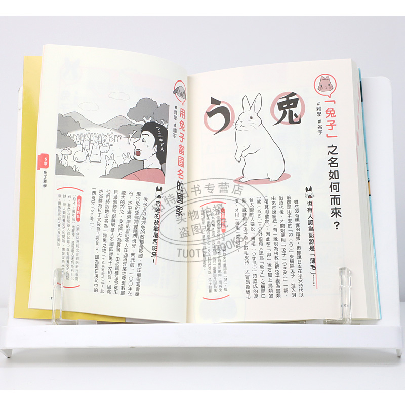 [正版]在途 石毛じゅんこ兔兔跟你想的不一样!了解兔兔的130个真心话今泉忠明 枫叶社文化 剪刀手明空读书 原版进口书高清大图